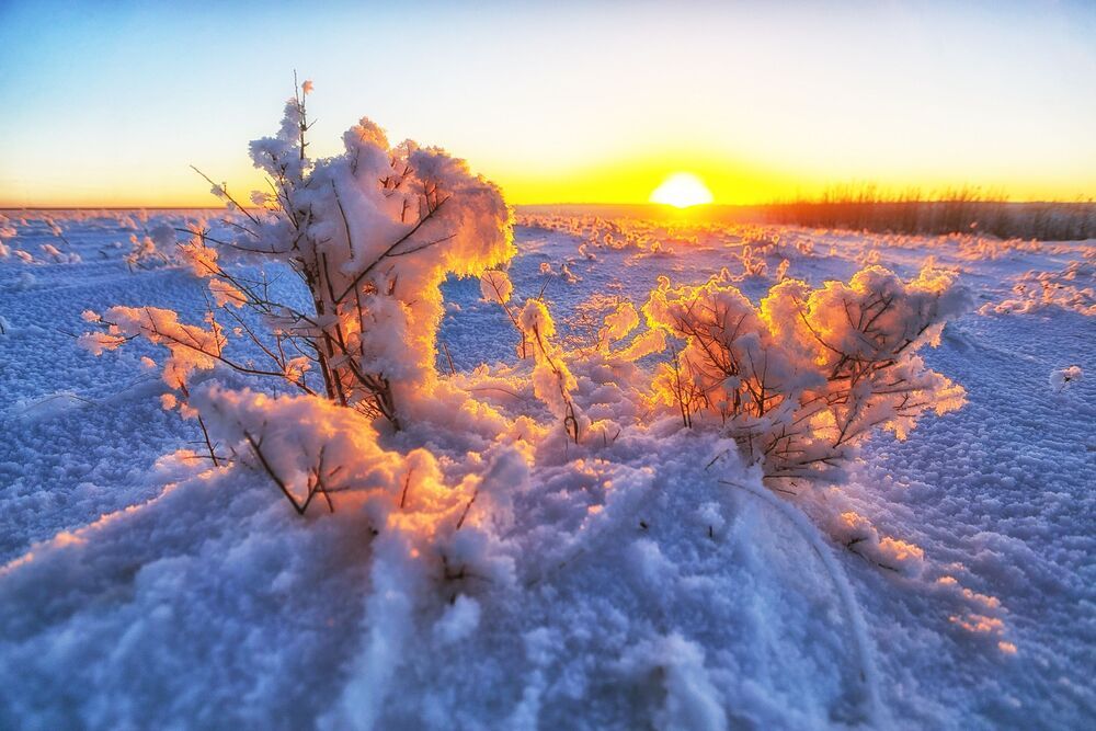 Зимние зарисовки