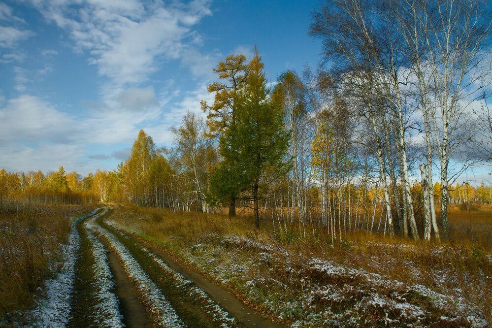 Прогулка в осень