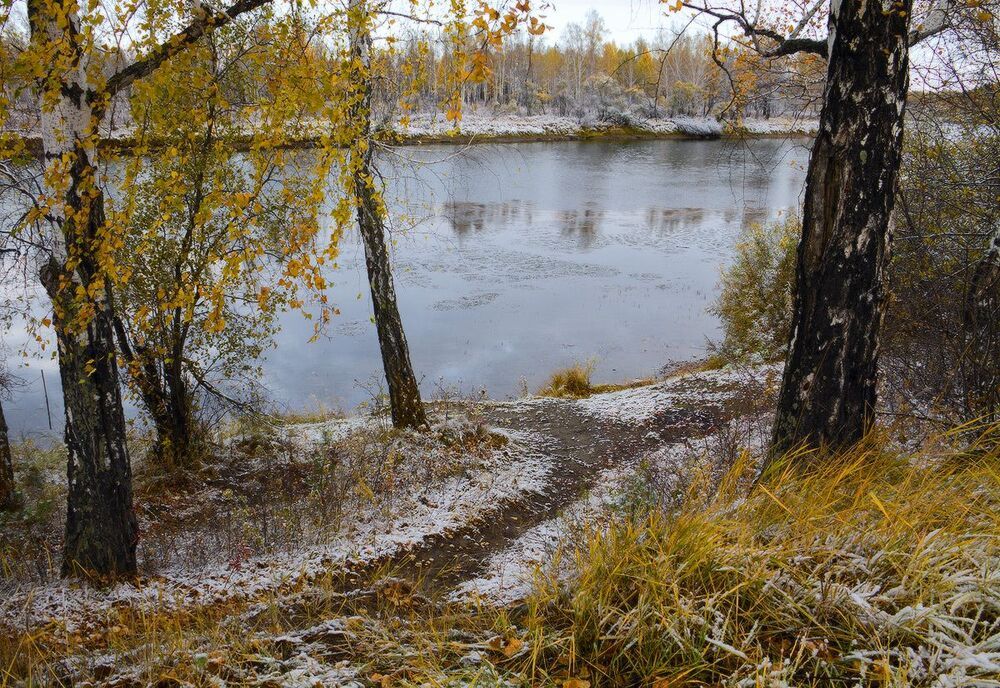 Прогулка в осень