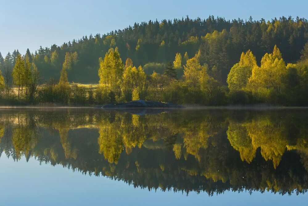 Утренний свет.