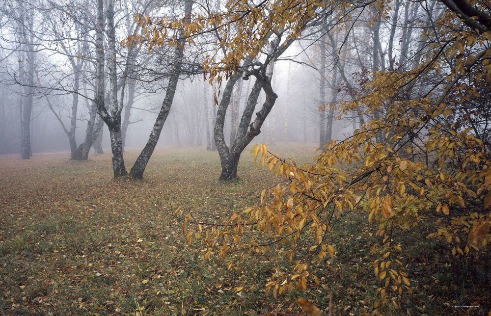пейзаж
