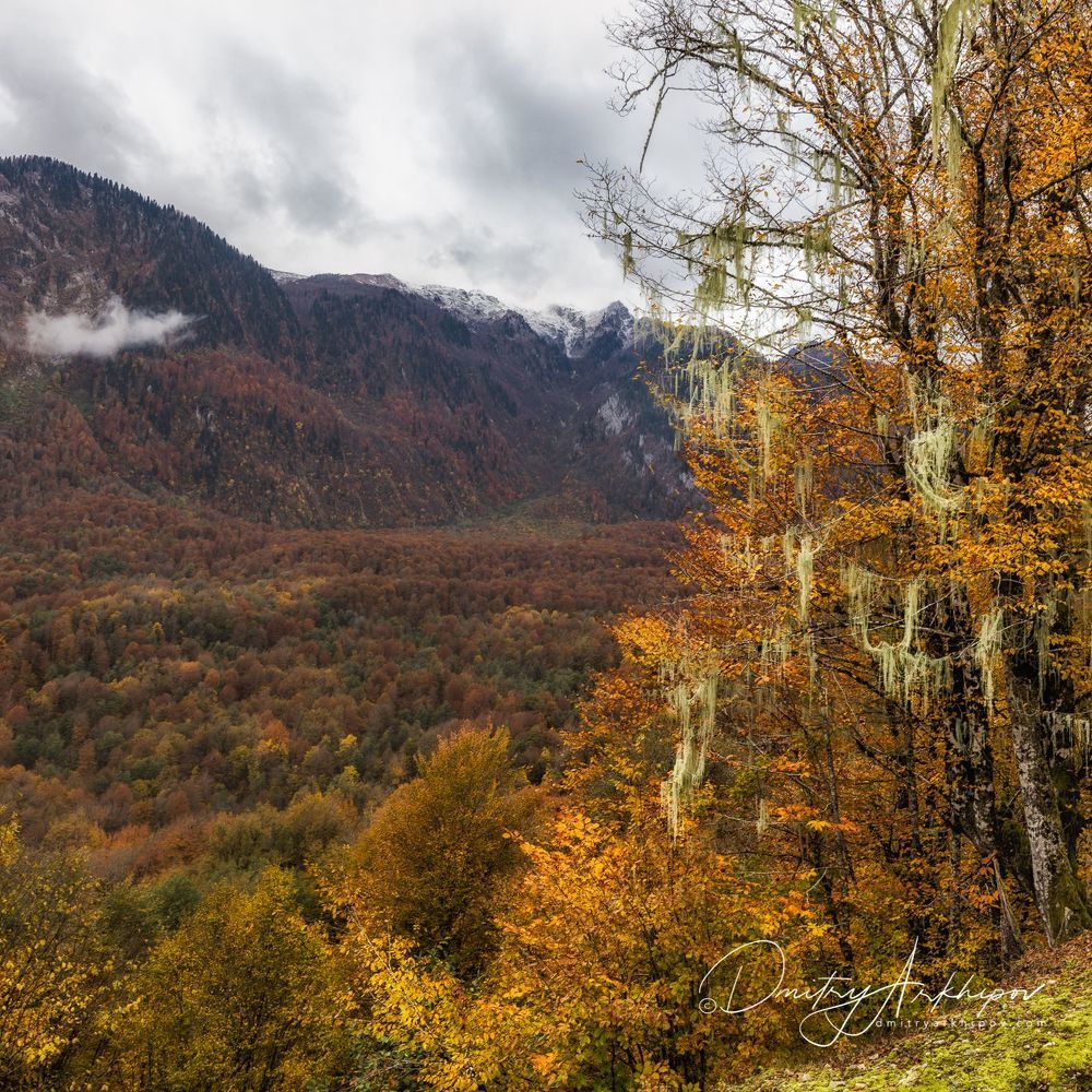 Осень на Северном Кавказе