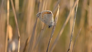 На исходе лета