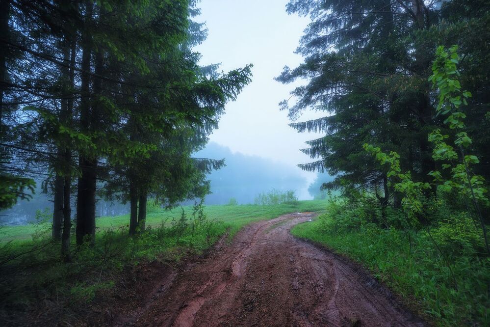 "Туманное побережье"