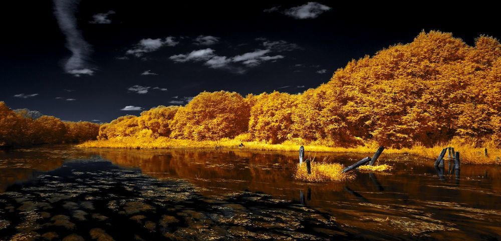 Старое русло. Инфракрасная фотография.