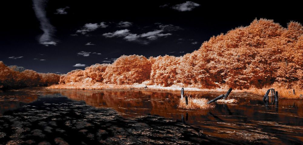 Старое русло. Инфракрасная фотография.