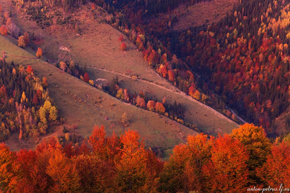 Осеннее пламя Карпат