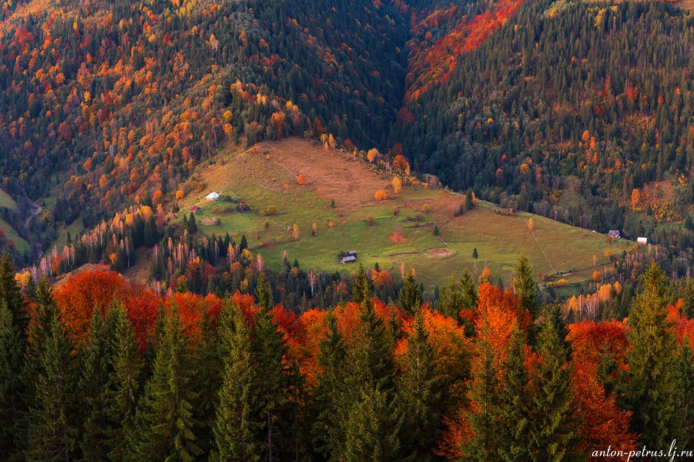 Осеннее пламя Карпат