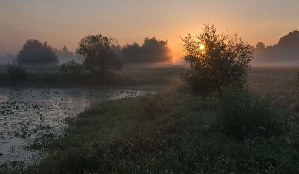 августовский рассвет....