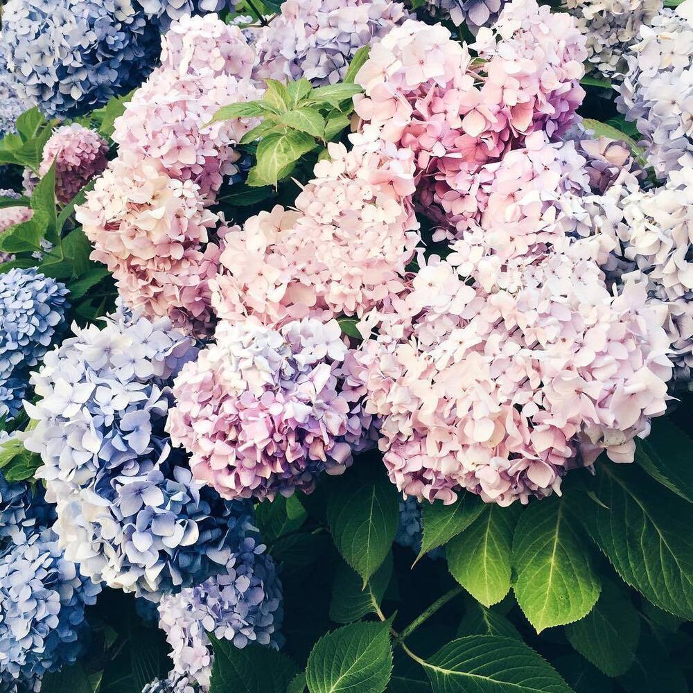 All