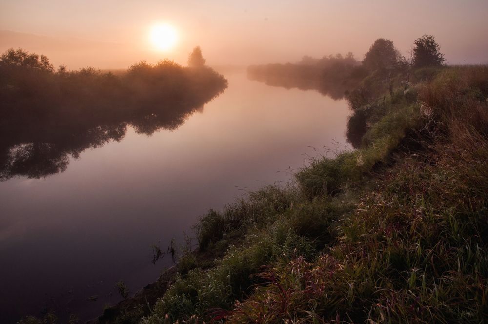 Photo 1154944