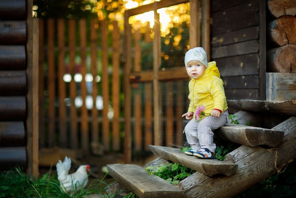 Photo 1155154