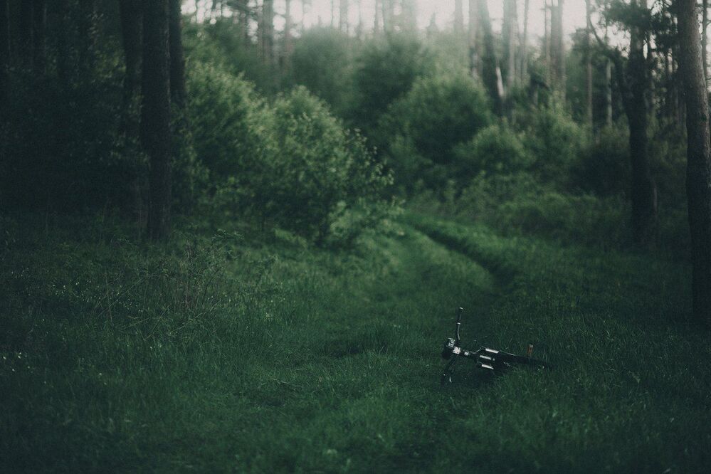 Остановка "Пейзаж"