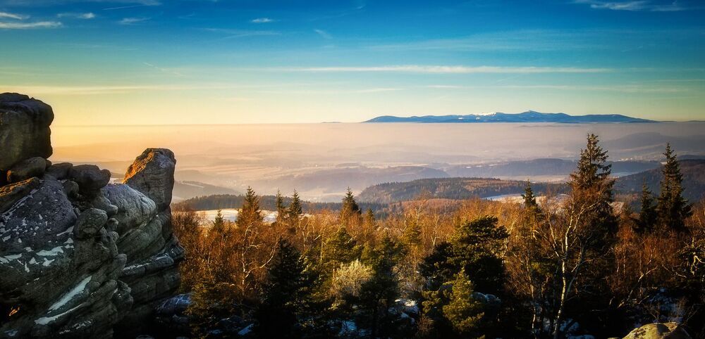 Landscapes