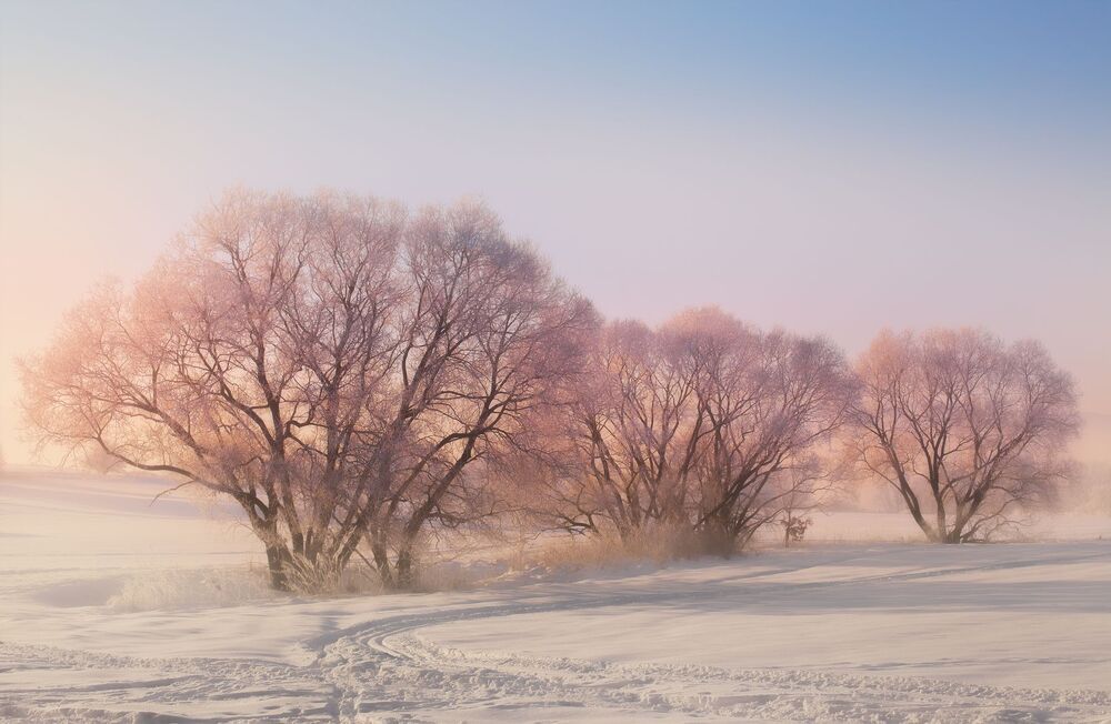 Landscapes