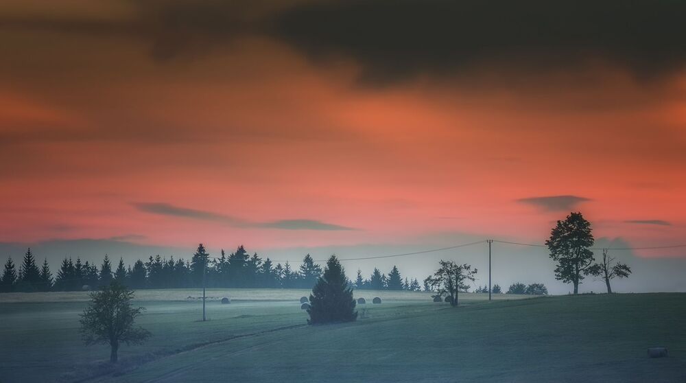 Landscapes