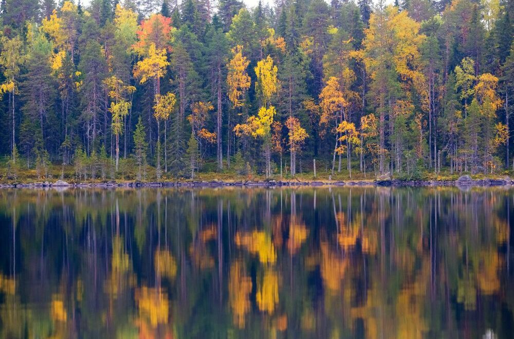 Северная осень