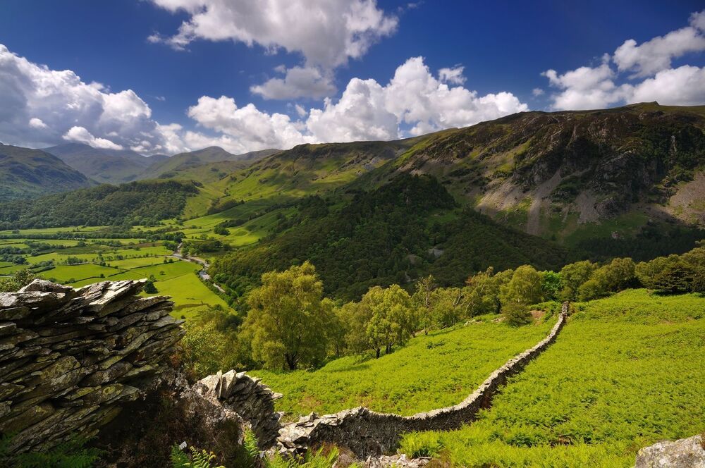 Landscape Portfolio