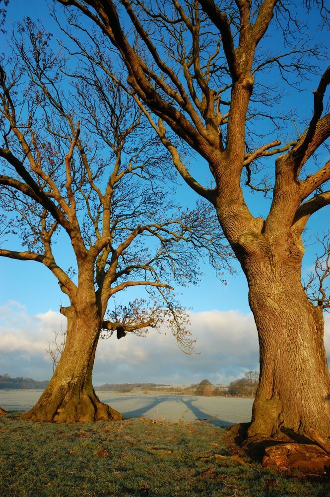 Landscape Portfolio