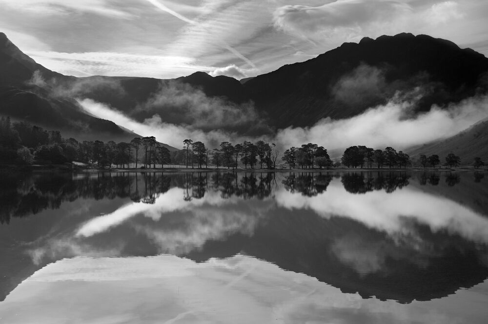 Landscape Portfolio