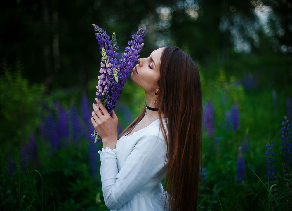 Lupine lover