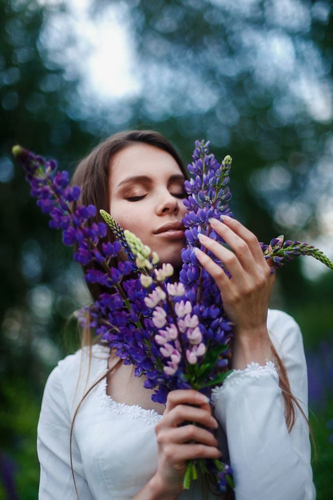 Lupine lover
