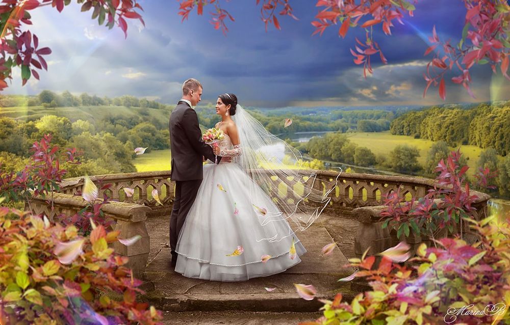 Wedding Аrt / Newlyweds