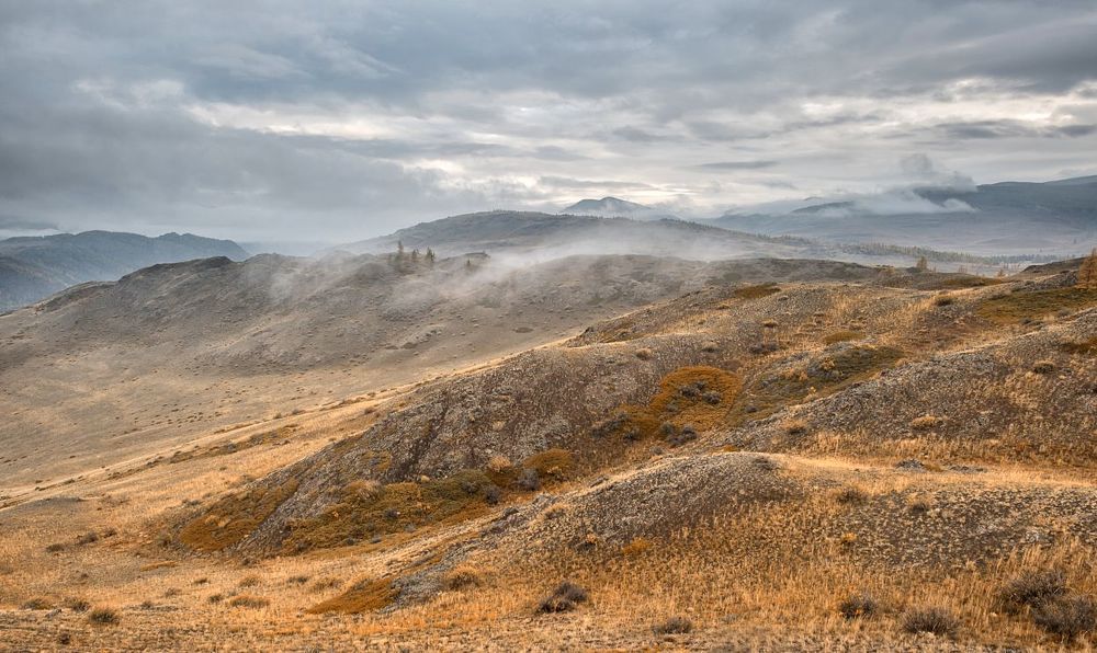 на Курайских холмах