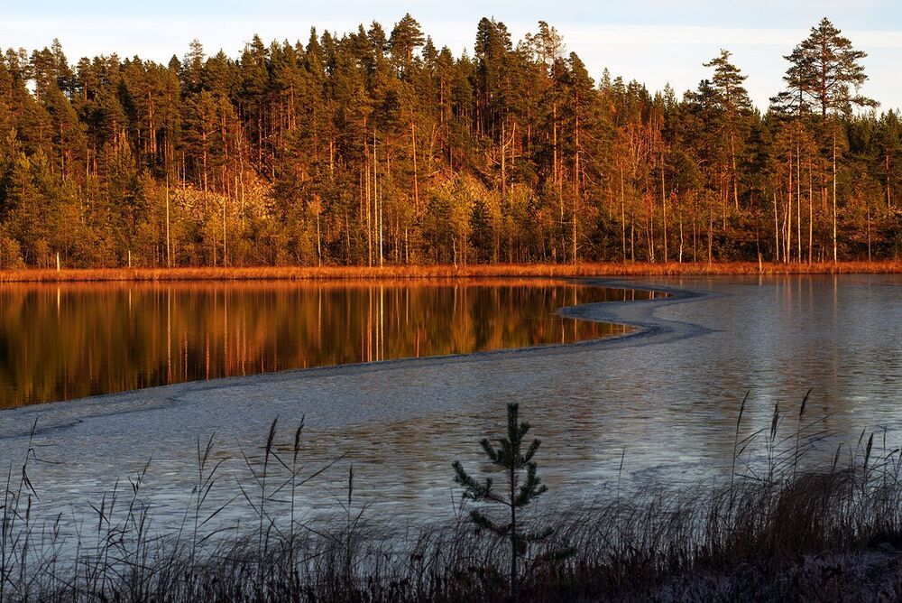 Хрупкая осень
