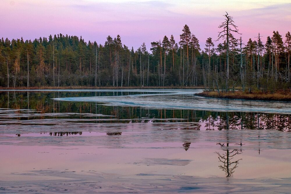 Хрупкая осень