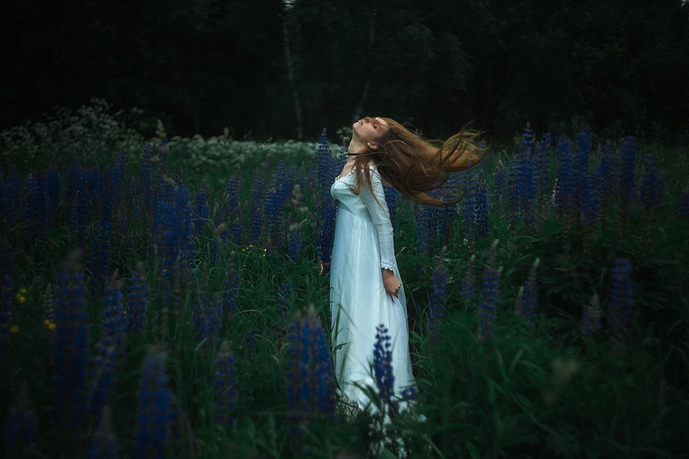Lupine lover