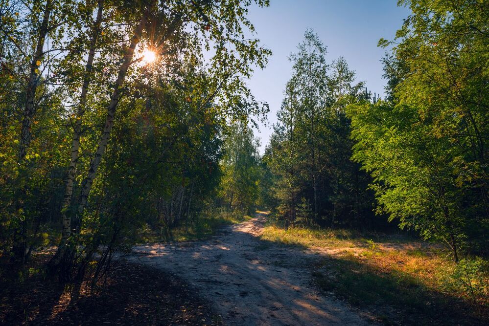 Вдали от городской суеты