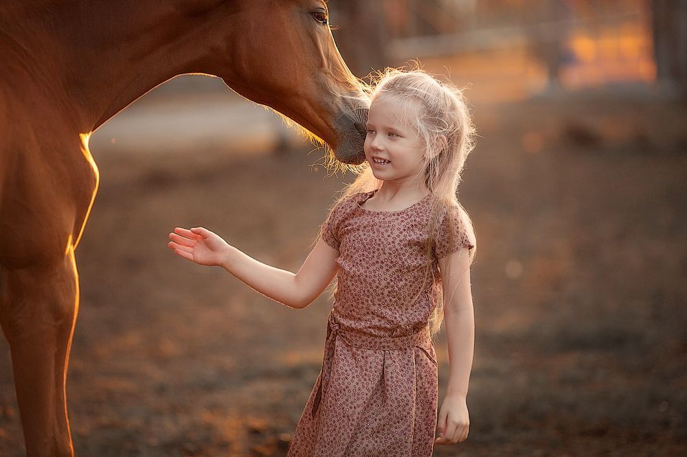 Фотопрогулка с лошадками