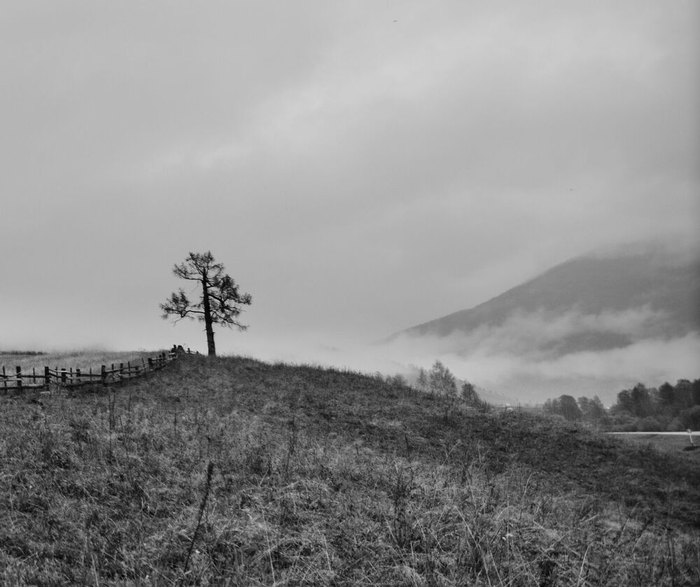 Photo 1162544