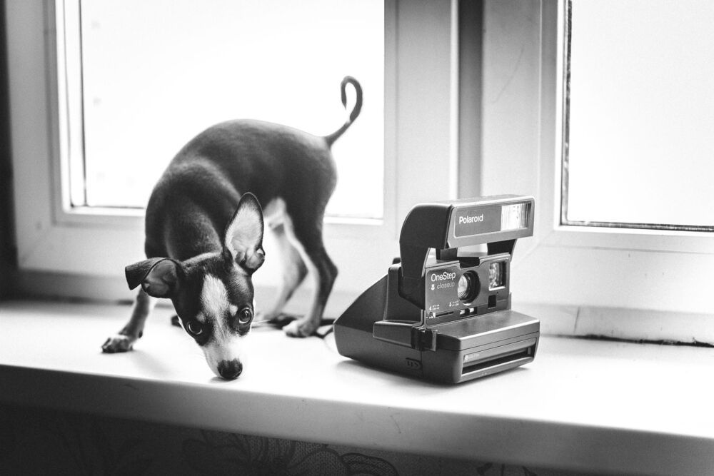 Photo 1162650