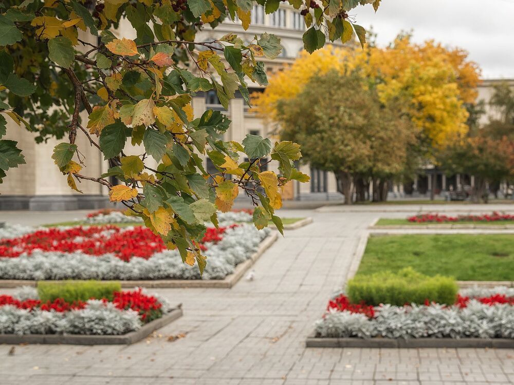 Новосибирск