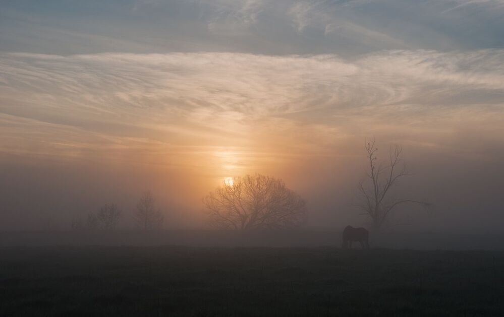 Photo 1163212