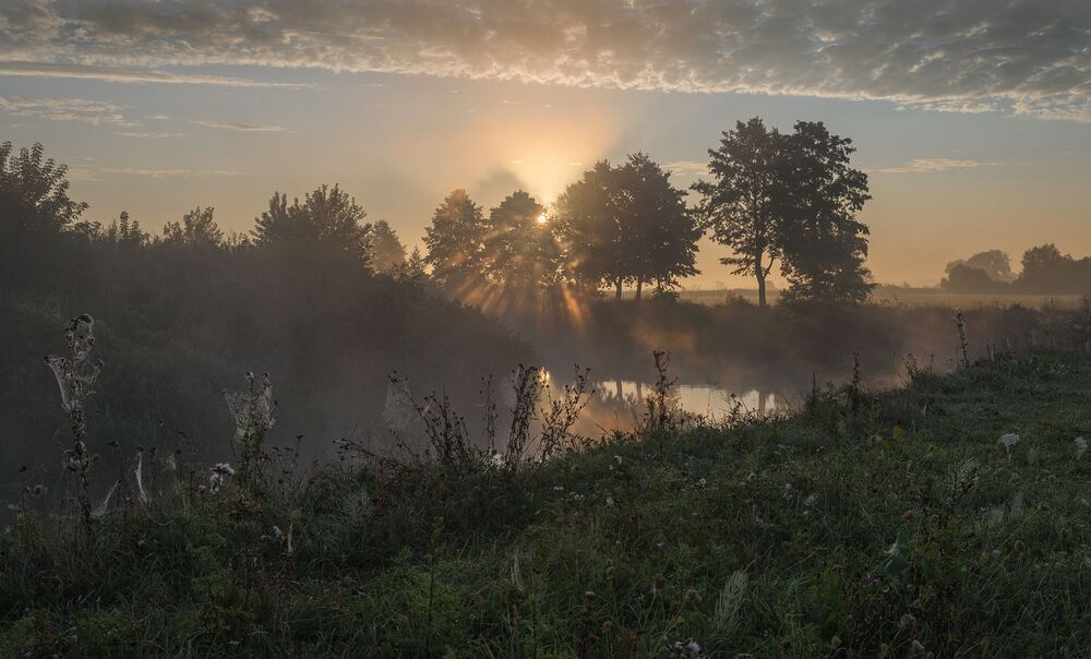 Photo 1163520
