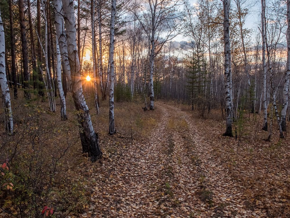 Осеннее Забайкалье