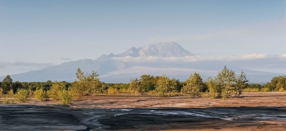 Шивелуч