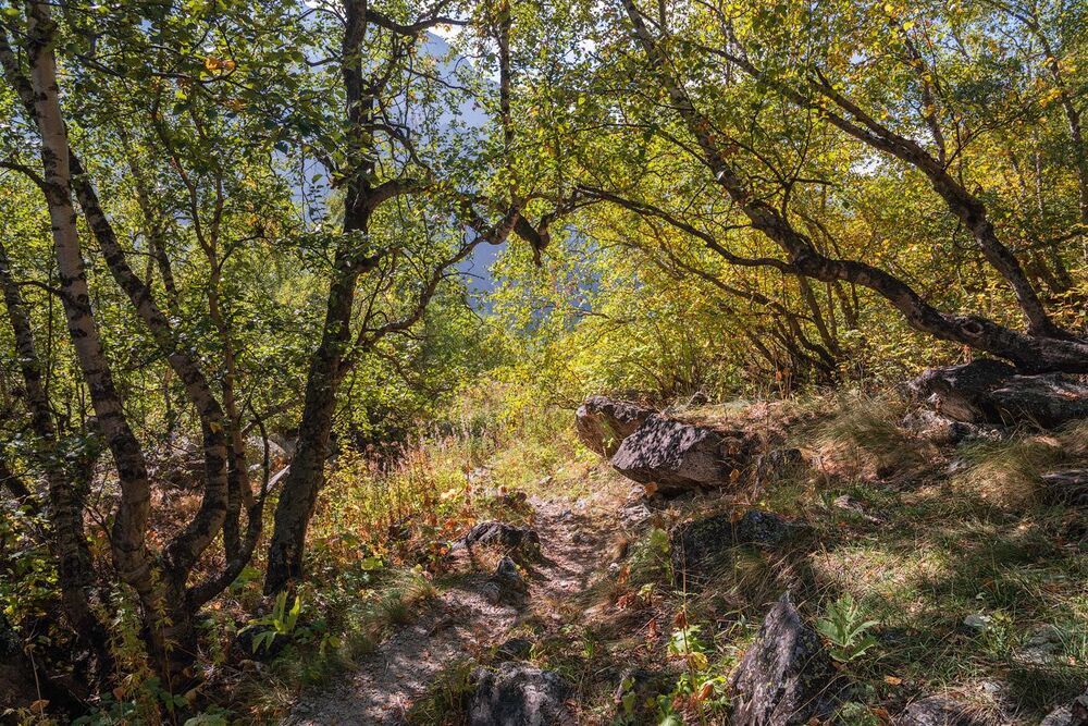 Бабье лето в Адыл-Су