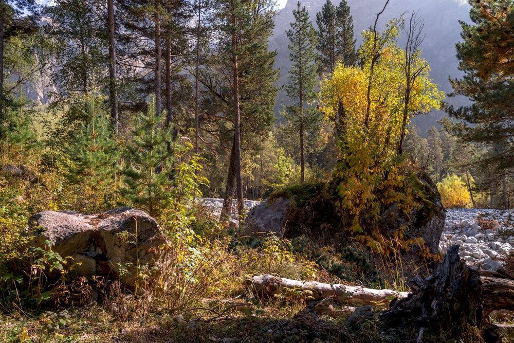 Бабье лето в Адыл-Су