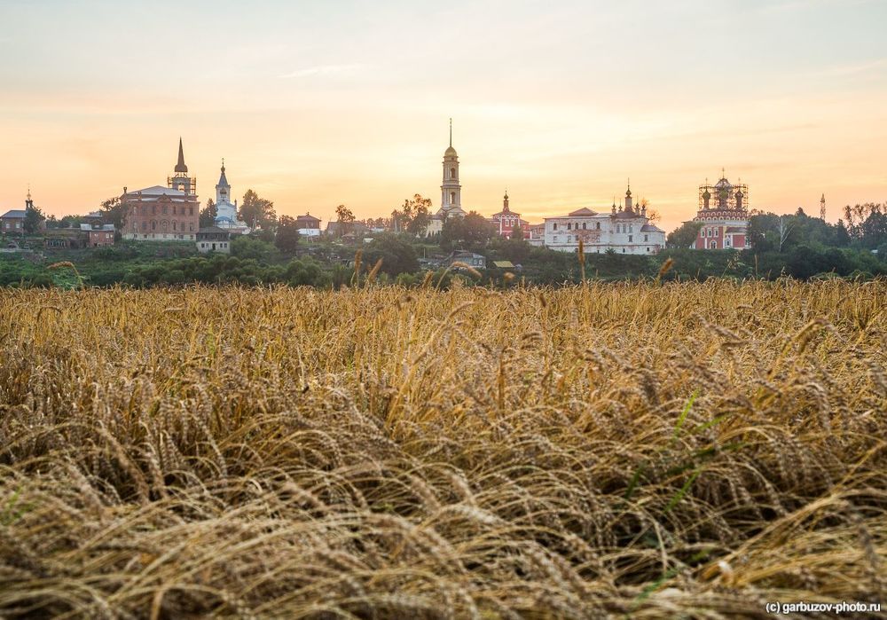 Белев златоглавый