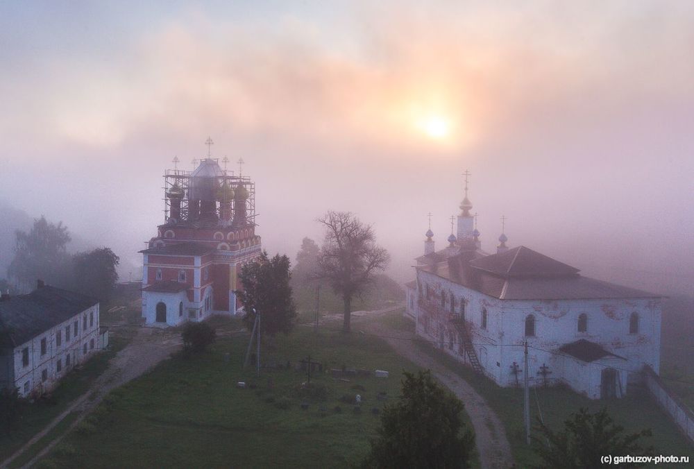 Белев златоглавый