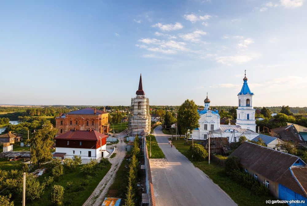 Белев златоглавый