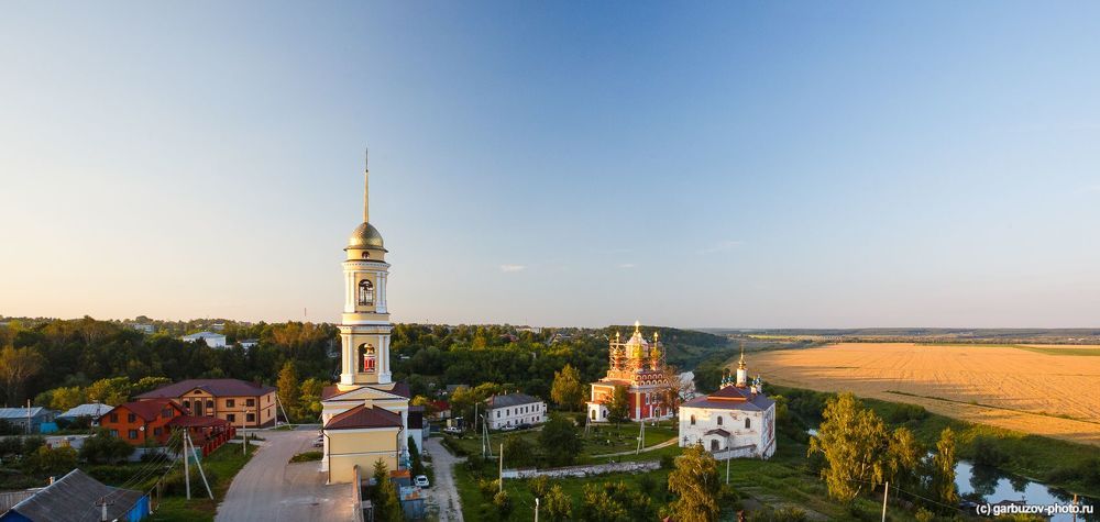 Белев златоглавый