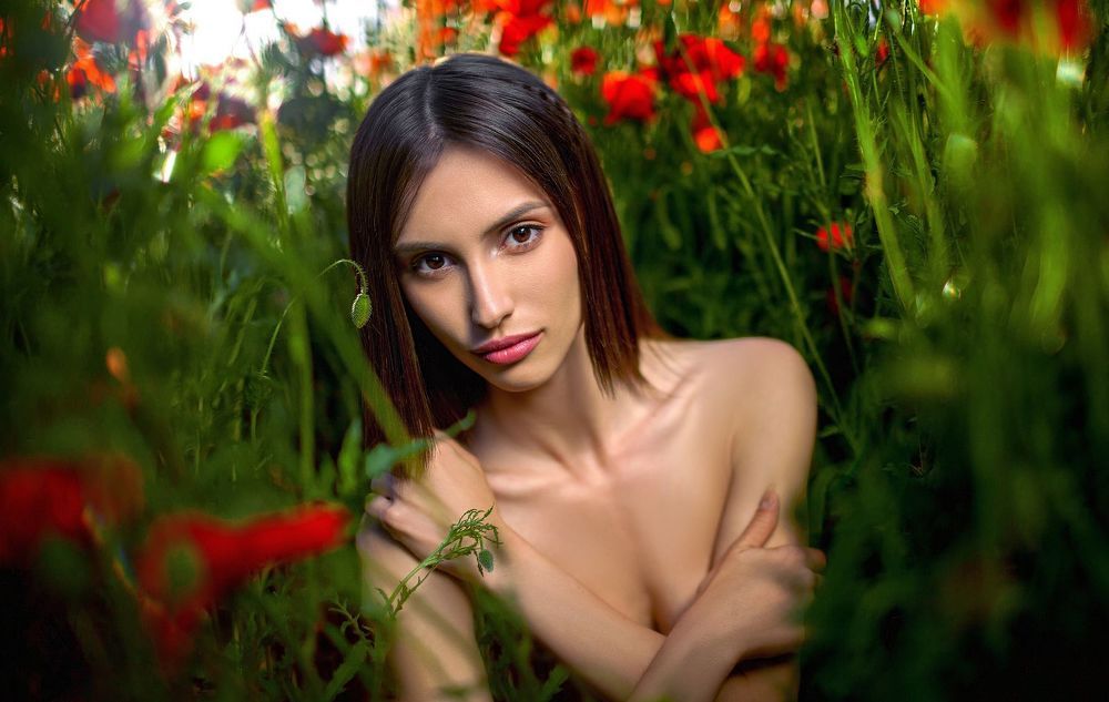 Портфолио