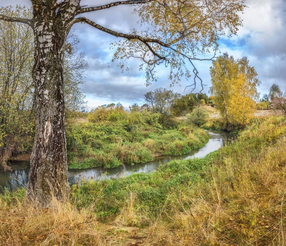 Панорама. Два ряда по 4 кадра.