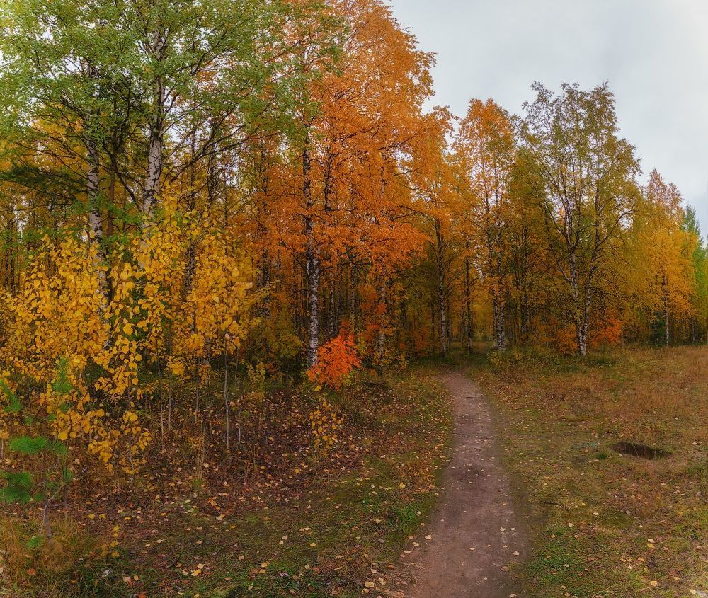 Осень севера