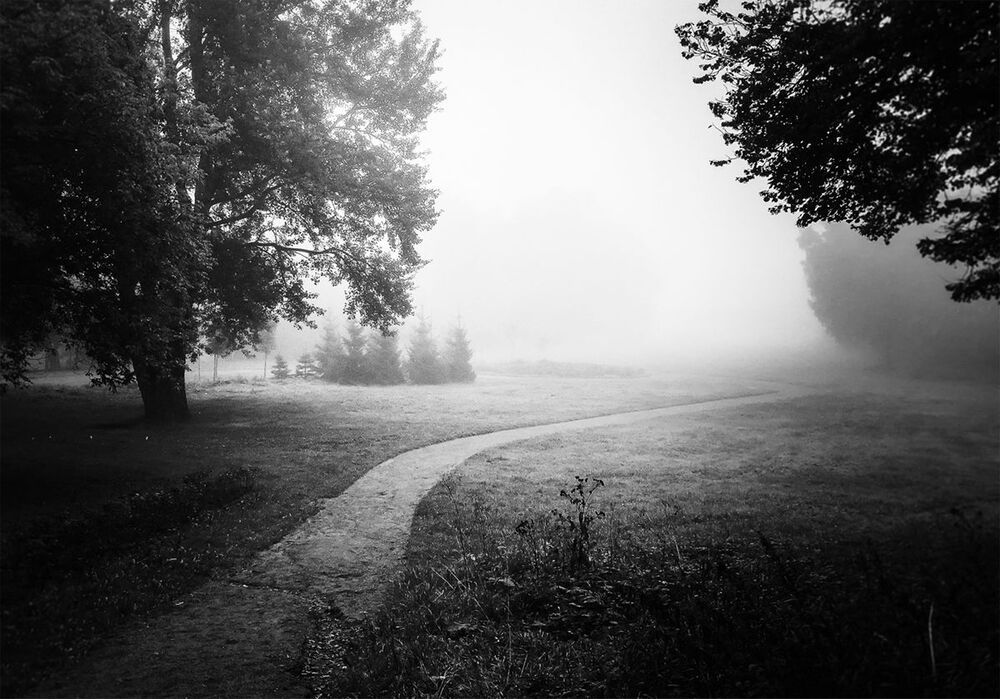 Photo 1169278